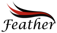 Feather CaseManagement Logo